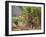 Sugar Cane Harvest-Bjorn Svensson-Framed Photographic Print