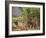 Sugar Cane Harvest-Bjorn Svensson-Framed Photographic Print