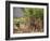 Sugar Cane Harvest-Bjorn Svensson-Framed Photographic Print