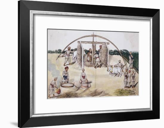 Sugar Cane Pressing, Kutch School, circa 1840-50-null-Framed Giclee Print