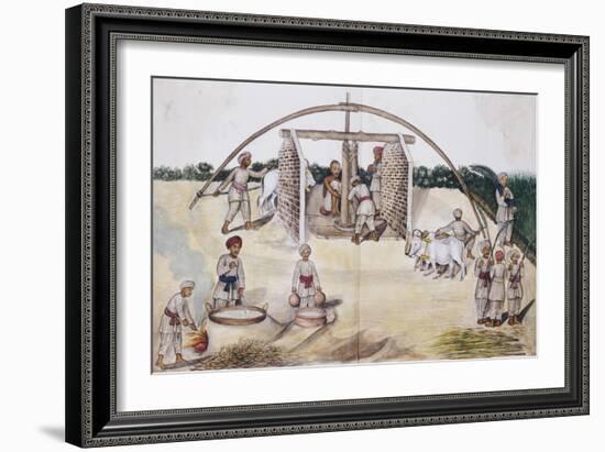 Sugar Cane Pressing, Kutch School, circa 1840-50-null-Framed Giclee Print