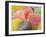 Sugar-Coated Gumdrops-null-Framed Photographic Print