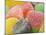 Sugar-Coated Gumdrops-null-Mounted Photographic Print