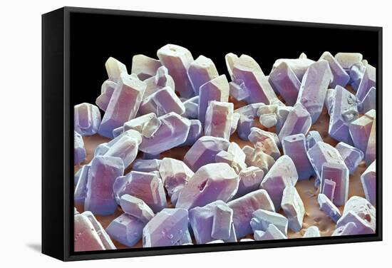 Sugar Crystals, SEM-Thomas Deerinck-Framed Premier Image Canvas