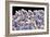 Sugar Crystals, SEM-Thomas Deerinck-Framed Photographic Print