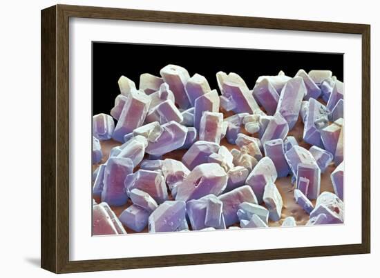 Sugar Crystals, SEM-Thomas Deerinck-Framed Photographic Print