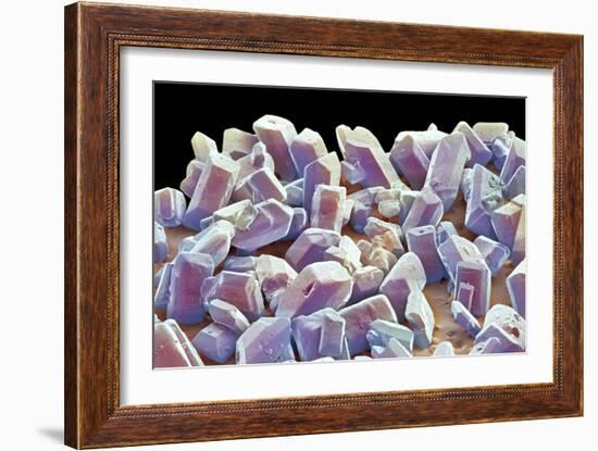 Sugar Crystals, SEM-Thomas Deerinck-Framed Photographic Print