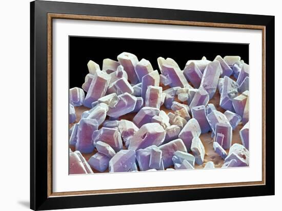 Sugar Crystals, SEM-Thomas Deerinck-Framed Photographic Print