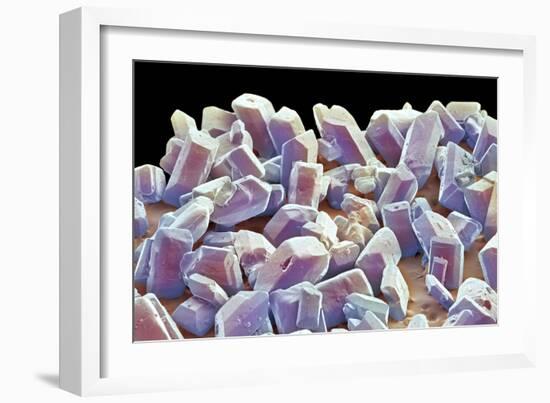 Sugar Crystals, SEM-Thomas Deerinck-Framed Photographic Print