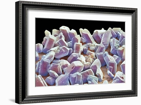 Sugar Crystals, SEM-Thomas Deerinck-Framed Photographic Print