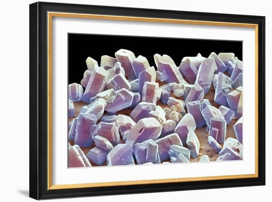 Sugar Crystals, SEM-Thomas Deerinck-Framed Photographic Print