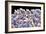 Sugar Crystals, SEM-Thomas Deerinck-Framed Photographic Print