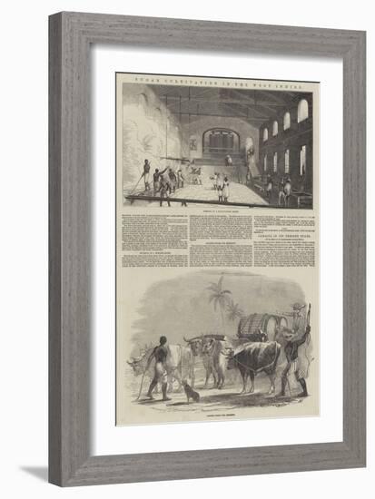 Sugar Cultivation in the West Indies-null-Framed Giclee Print