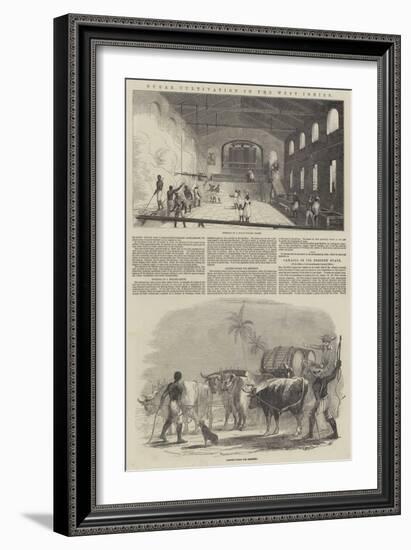 Sugar Cultivation in the West Indies-null-Framed Giclee Print