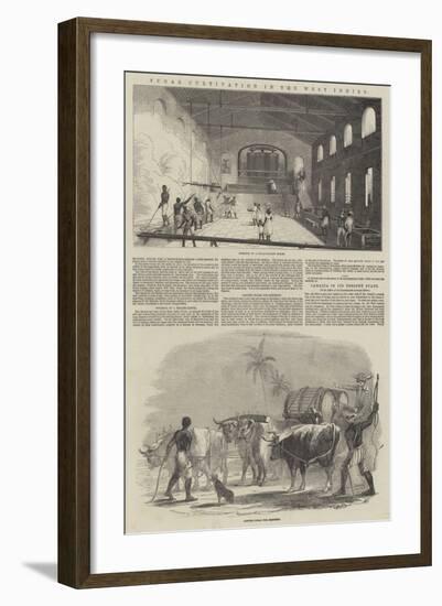 Sugar Cultivation in the West Indies-null-Framed Giclee Print