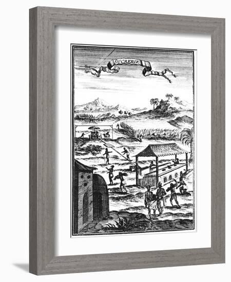 Sugar Factory and Plantation in the West Indies, 1686-Allain Manesson Mallet-Framed Giclee Print