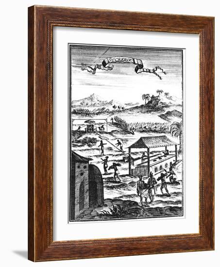 Sugar Factory and Plantation in the West Indies, 1686-Allain Manesson Mallet-Framed Giclee Print