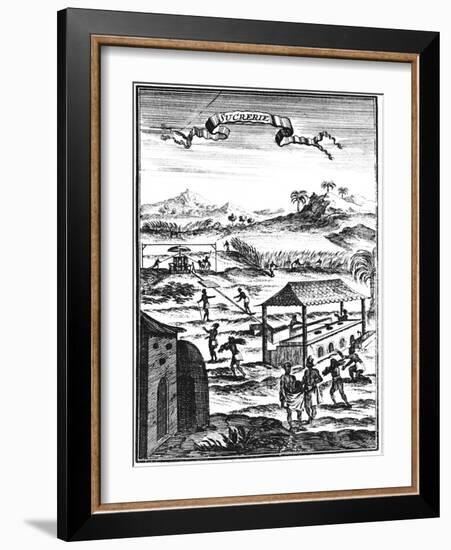 Sugar Factory and Plantation in the West Indies, 1686-Allain Manesson Mallet-Framed Giclee Print