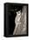 Sugar Glider (Petaurus Breviceps)-Louise Murray-Framed Premier Image Canvas