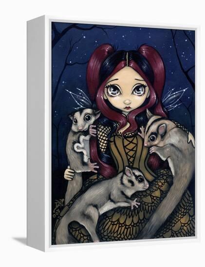 Sugar Gliders-Jasmine Becket-Griffith-Framed Stretched Canvas