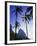 Sugar Loaf Mountain, Rio de Janeiro, Brazil-null-Framed Photographic Print