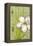 Sugar Magnolia I-Jennifer Goldberger-Framed Stretched Canvas