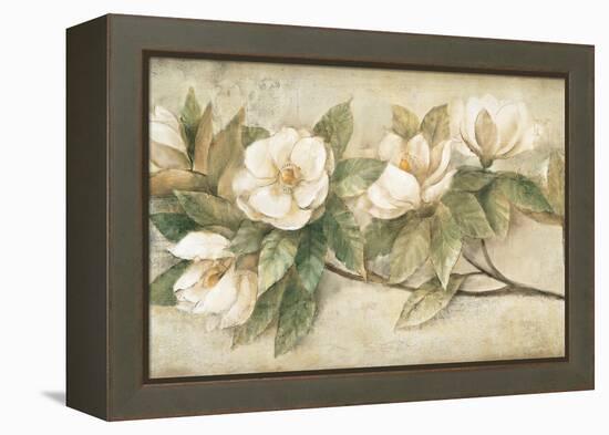 Sugar Magnolia Vintage-Albena Hristova-Framed Stretched Canvas