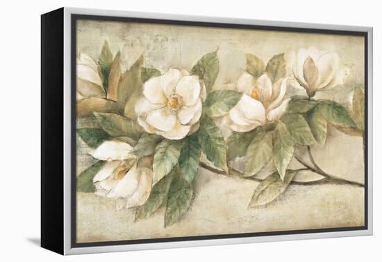 Sugar Magnolia Vintage-Albena Hristova-Framed Stretched Canvas