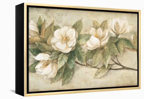 Sugar Magnolia Vintage-Albena Hristova-Framed Stretched Canvas