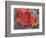 Sugar Maple Foliage in Fall, Rye, New Hampshire, USA-Jerry & Marcy Monkman-Framed Photographic Print