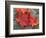 Sugar Maple Foliage in Fall, Rye, New Hampshire, USA-Jerry & Marcy Monkman-Framed Photographic Print