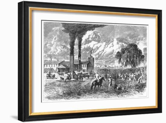 Sugar Plantation, New Orleans, 1870-AR Ward-Framed Giclee Print