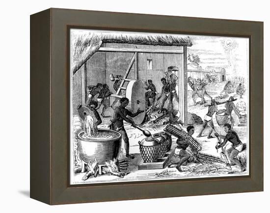 Sugar Production, 1873-Theodore de Bry-Framed Premier Image Canvas