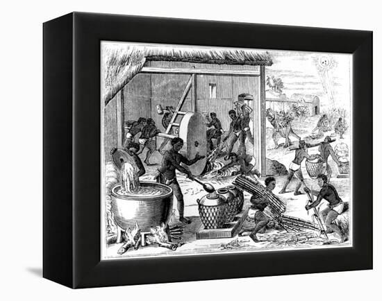 Sugar Production, 1873-Theodore de Bry-Framed Premier Image Canvas