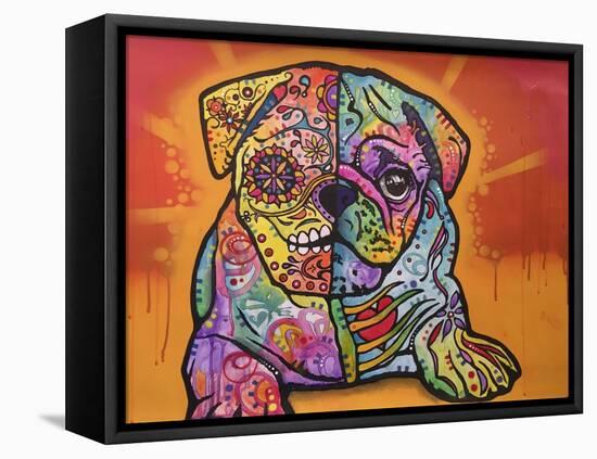 Sugar Pug-Dean Russo-Framed Premier Image Canvas