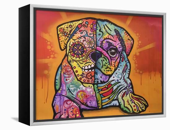 Sugar Pug-Dean Russo-Framed Premier Image Canvas