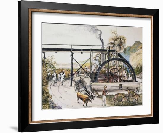 Sugar Refinery in Guinea, Watercolour, 20th Century-null-Framed Giclee Print