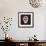 Sugar Skull II-Fiona Stokes-Gilbert-Framed Giclee Print displayed on a wall