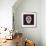 Sugar Skull II-Fiona Stokes-Gilbert-Framed Giclee Print displayed on a wall