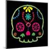 Sugar Skull Velvet IV-Rosa Mesa-Mounted Art Print