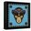 Sugar Skull-Tina Nichols-Framed Premier Image Canvas