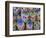 Sugar Skulls are Exchanged Between Friends for Day of the Dead Festivities, Oaxaca, Mexico-Judith Haden-Framed Photographic Print