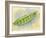 Sugar Snap Peas-Barbara Keith-Framed Giclee Print