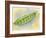 Sugar Snap Peas-Barbara Keith-Framed Giclee Print