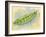 Sugar Snap Peas-Barbara Keith-Framed Giclee Print