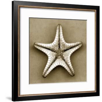 Sugar Starfish Bottom-John Kuss-Framed Photographic Print