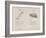 Sugar-tongues and Tortoise From Nonsense Alphabets Drawn and Written by Edward Lear.-Edward Lear-Framed Giclee Print