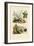 Sugarcane, 1833-39-null-Framed Giclee Print