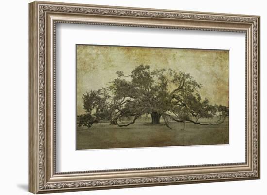 Sugarmill Oak, Louisiana-William Guion-Framed Art Print