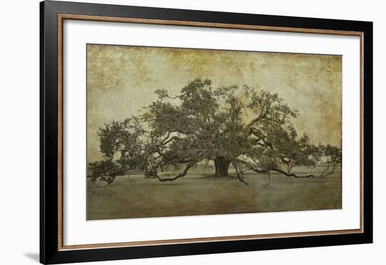 Sugarmill Oak, Louisiana-William Guion-Framed Art Print